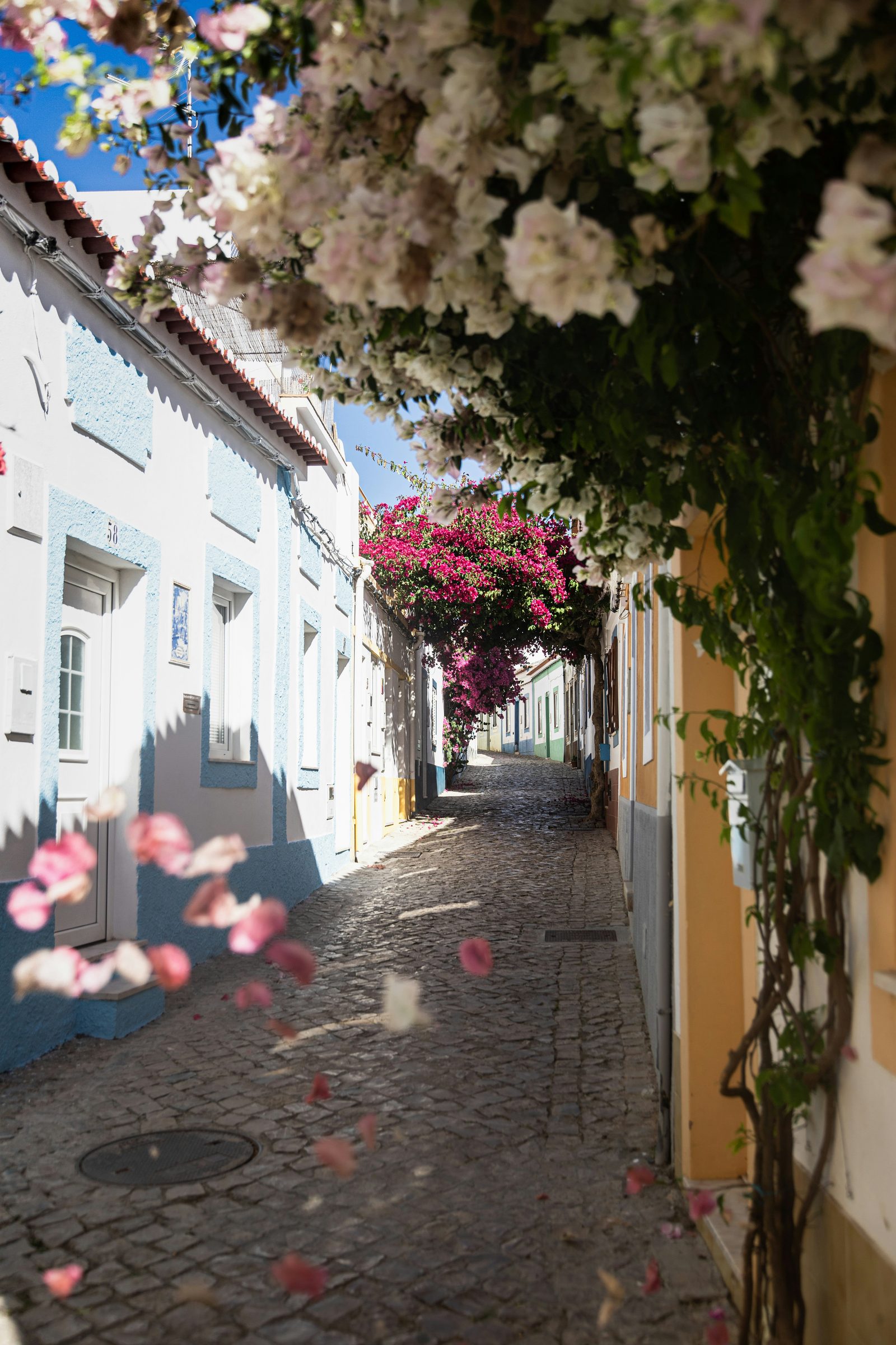 Algarve